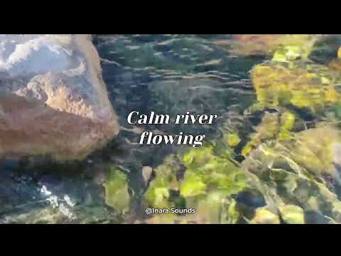 Calm River Flowing • 1 Hour of Peaceful Nature Sounds for Sleep, Focus & Relaxation