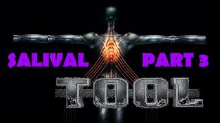 TOOL - Salival | Full Album Reaction (Part 3/4) Tracks: Merkaba (Live), No Quarter