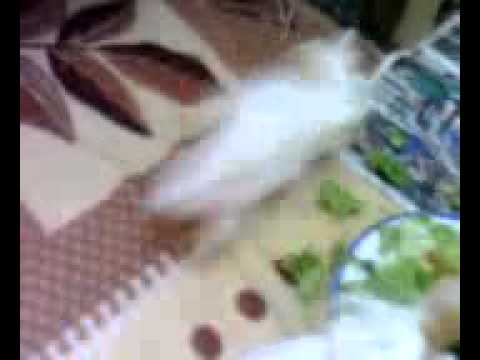 They love to sleep on knit fabric