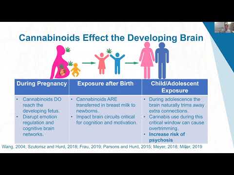 Psychoeducational Video: Exploring the Impact of Cannabis Use on Psychosis Risk, Relapse, Outcome