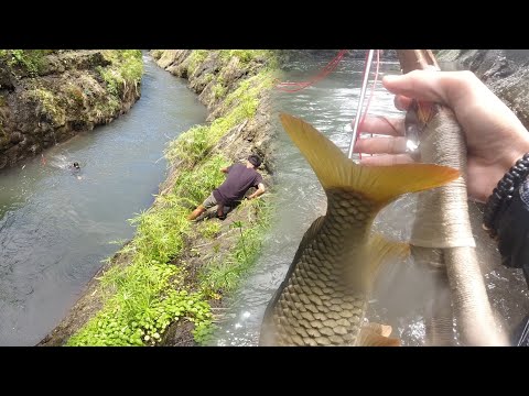 SE03EP021 - ETO NA ang PIGIL HININGA para sa KARPA - Catch Cook Eat | San Pablo City, Laguna