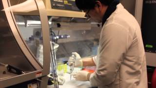 What is the MSSNG Research Project