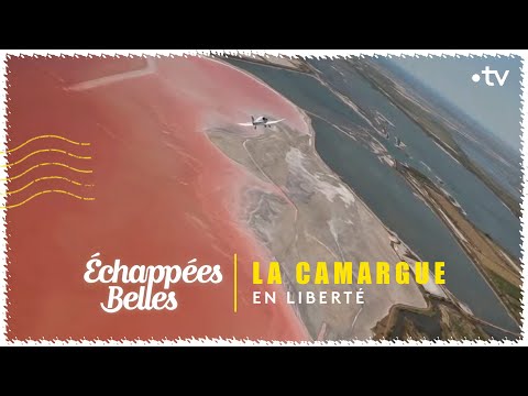 La Camargue en liberté - Échappées belles