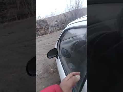 Molla buva 2