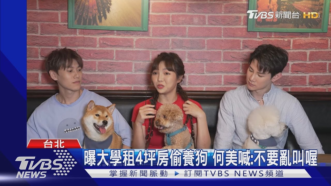 《萌寵明星粗乃玩》第一屆運動會! Sandy帶呵喜緊張「快生了」