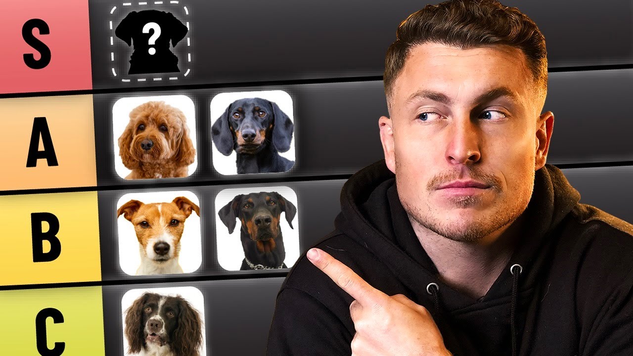 My evidence based guide to dog breeds (for first time owners)