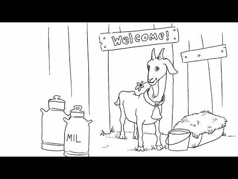 Mon Rabbi 20 - L’attachement au Rabbi | Histoire