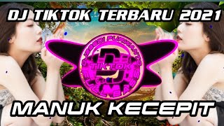 Download lagu DJ MANUK KECEPIT REMIX TIKTOK VIRAL TERBARU FULL BASS 2021 mp3