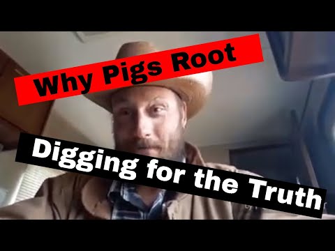 Why Pigs Root | Digging for the truth Video