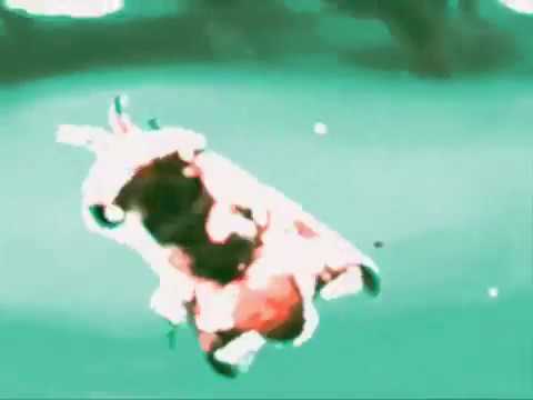 Video thumbnail for I Get Tired