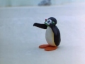 Pingu S02e11 Pingu The Photographer