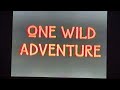 Opening To Chicken Little 2006 South Korean VHS Dubbed