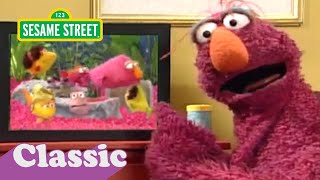Telly&#39;s Aquarium Song | Sesame Street Classic
