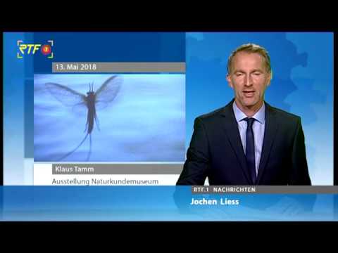 "Poesie des Augenblicks" - Ausstellung in Reutlingen zeigt Natur-Fotografien von Klaus Tamm