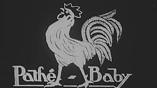 Les Rapaces (1913) Birds of Prey