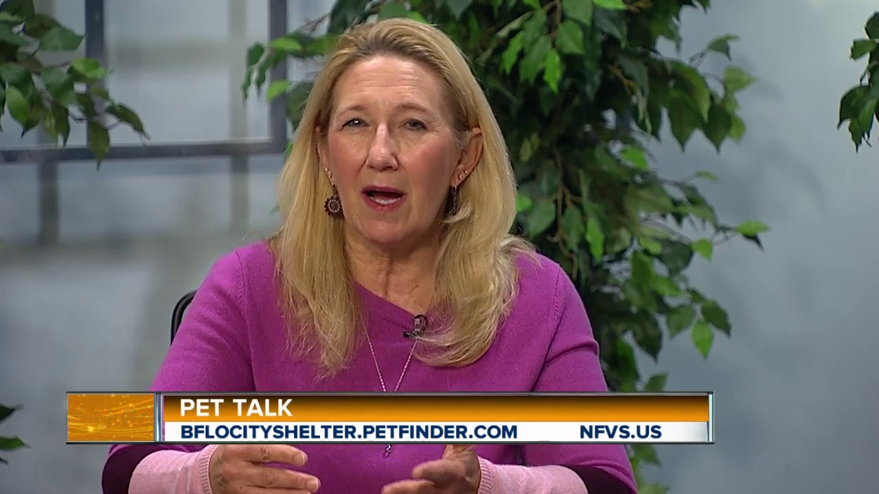 Easter Hazards for Your Pets on Pet Talk Tuesday