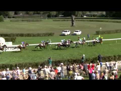 2015.08.22 Prix de Diane (SWI) - Spring Leaf