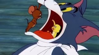 Tom and Jerry - Downhearted Duckling
