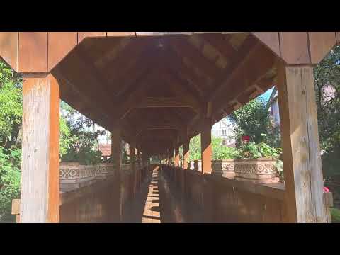 Um pouco de Arroio Trinta SC#aventura #natureza #viagem #paisagemnatural 