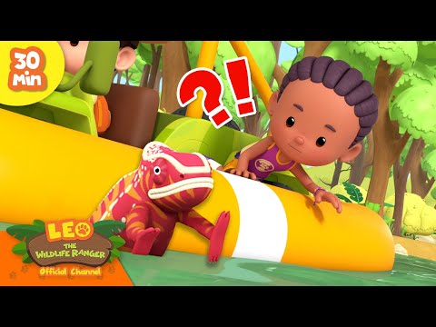 Witness21 Editor  2024 01 11