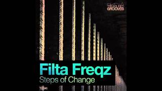 TG041-Filta Freqz-Steps Of Change-Preview