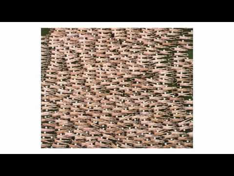 TEDxSanMigueldeAllende - Spencer Tunick - Body Moving Change