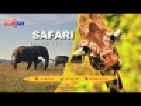 Maasai Mara Wildlife Cams