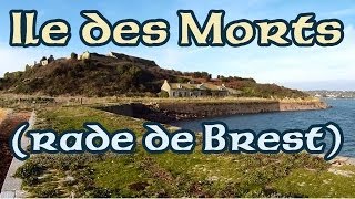 preview picture of video 'Ile des Morts (rade de Brest), coquilles saint jacques en pêche sous marine - Scallops'