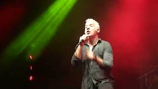 Buitres-El Amor es un Perro del Infierno (30/11/2018) La Trastienda Mvd