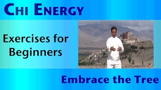 Chi Energy | Exercises For Beginners | Embrace The Tree