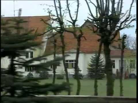 Hitlers Helfer - Heinrich Himmler Reportage über die Helfer von Hitler - Der Vollstrecker Teil 3