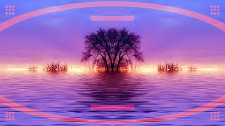 Seeds - A Faded Picture