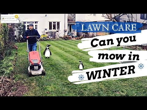 CAN YOU MOW IN WINTER (Lawn Care)