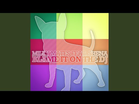 Blame It On the DJ (Original Mix) (feat. Shena)