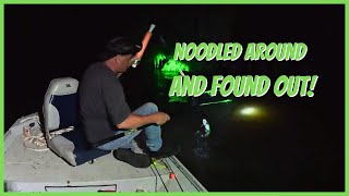 We Took the Noodles to the Swamp! Catching Catfish in the Atchafalaya Swamp