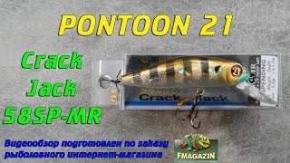 Pontoon 21 crackjack 48sp mr