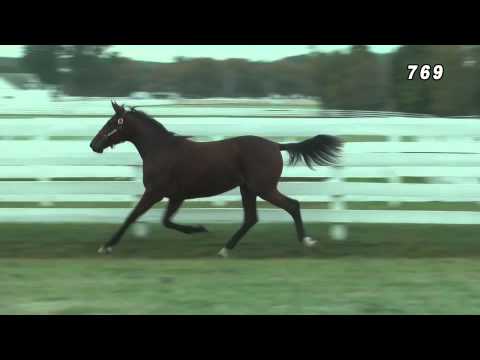 Hip #769 CANTABBY (CANTAB HALL - MILLENNIUM CHIP)