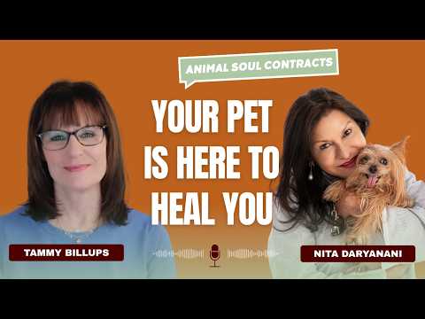 The Hidden Soul Contract Between You and Your Animal Companion