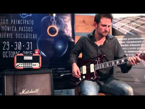 Salon des luthiers Issoudun 2015 - Fredamp dirty 15 par Brice Delage