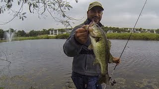 Finesse Bass Fishing in a Florida Golf Course Pond (COLD FRONT!!!)