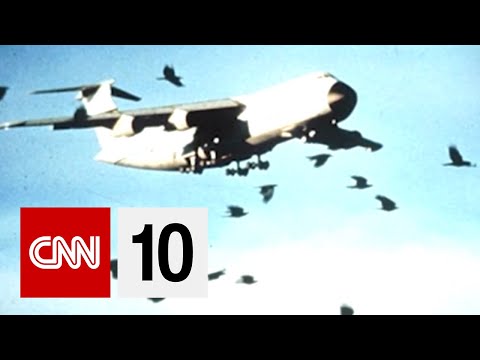 鳥類是對飛機的真正威脅嗎？ (Are Birds A Real Threat To Planes?)