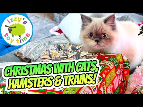 Christmas With Our Fuzzy Family 🎄 | Cats, Happy the Hamster, Fish & More