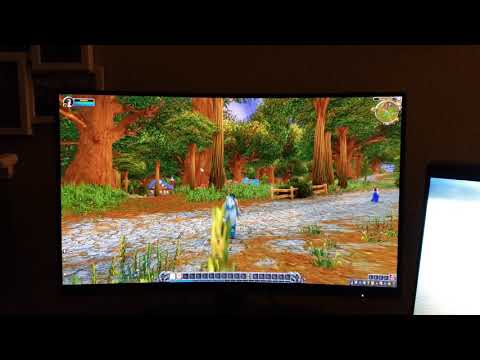 Black smearing in WoW causing environment "flickering" - VA panel vs IPS panel