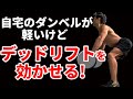 自宅筋トレでダンベルが軽いけどデッドリフトを効かせる!家でも脊柱起立筋をちゃんとトレーニング 背中をトレーニング back workout