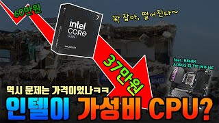퀘이사존