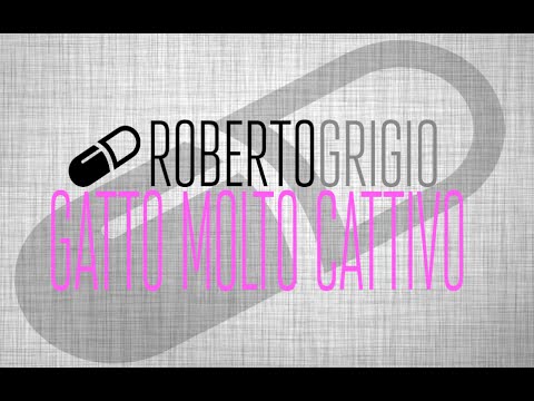 gatto molto cattivo è cresciuto