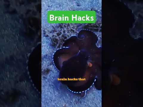 STOP scrolling! You’re losing brain cells with every second!