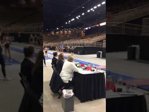 Jr3 Darbi Simcox, Dynamats | L9 Vault (3rd)  2019 Eastern Nationals - 9.55