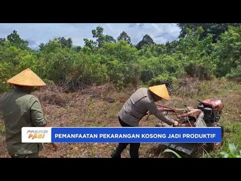 POLSEK RUNGAN GUNUNG MAS KALTENG MANFAATKAN PEKARANGAN KOSONG JADI PRODUKTIF