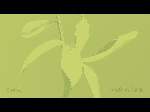 Tripolism & Nandu - Sunrise